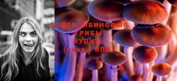 гашик Алексин