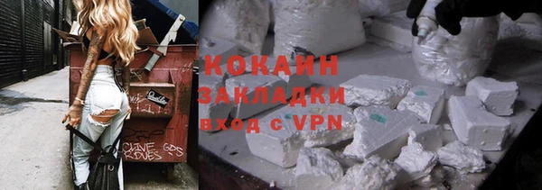 хмурый Алзамай