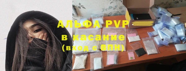 гашик Алексин