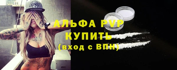гашик Алексин