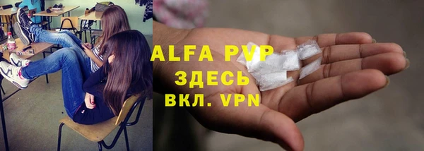 гашик Алексин