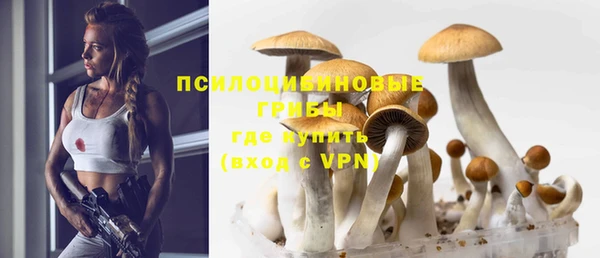 крисы Алексеевка