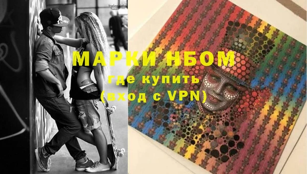 хмурый Алзамай