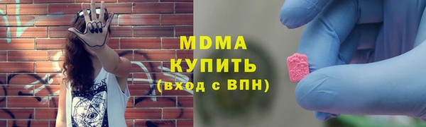 гашик Алексин
