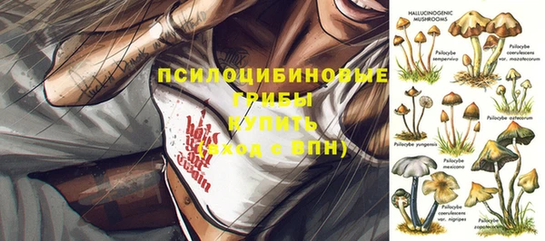 крисы Алексеевка