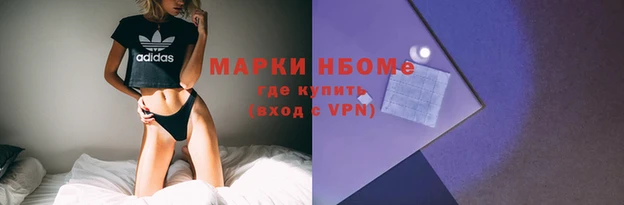 хмурый Алзамай