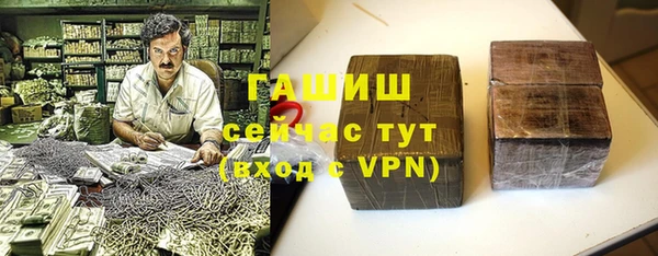гашик Алексин