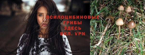 крисы Алексеевка