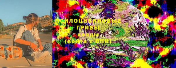 крисы Алексеевка