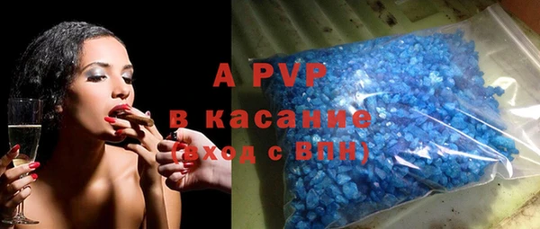 гашик Алексин