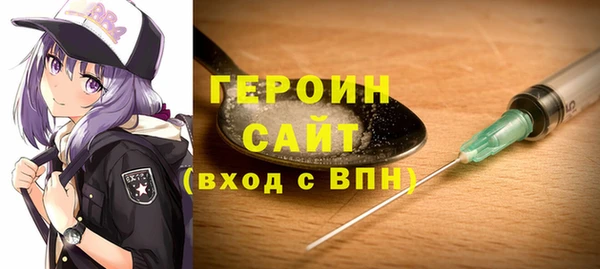 гашик Алексин