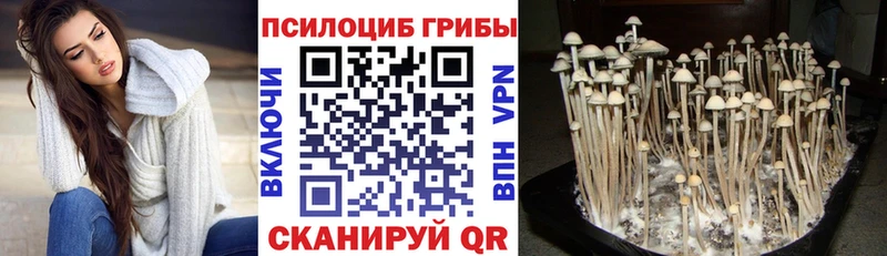 Псилоцибиновые грибы мицелий  Омутнинск 